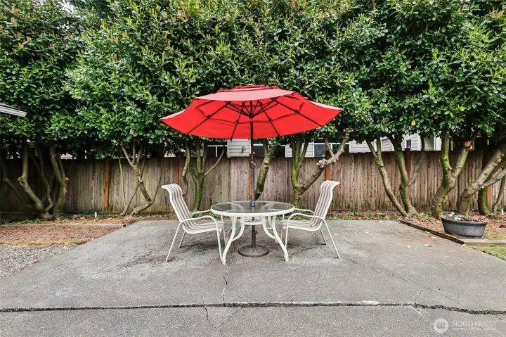 Backyard patio