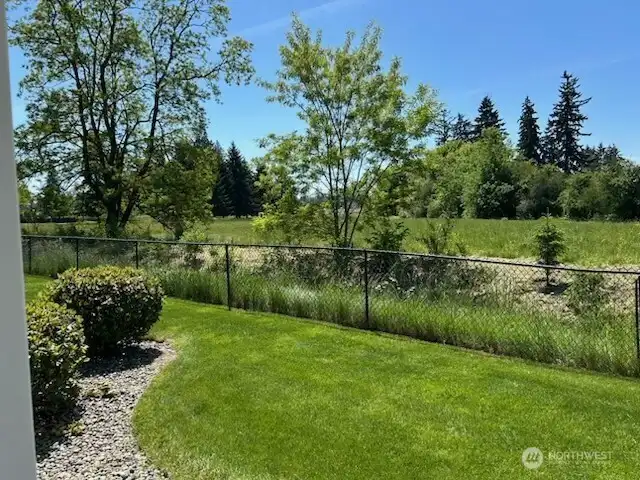 Side view of the back yard and greenbelt.