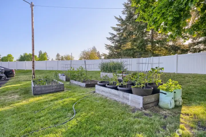 Community gardens, here are some of the beds. For the residents only.