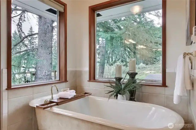 Windows everywhere!