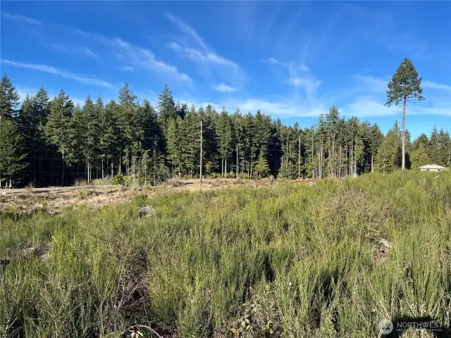 View towards the NW Boundary Corner