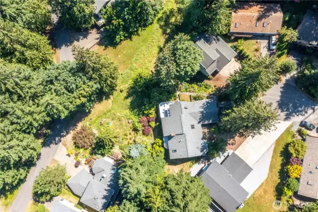 Tucked among the trees, this charming Sudden Valley home offers peace, privacy, and Pacific Northwest beauty.