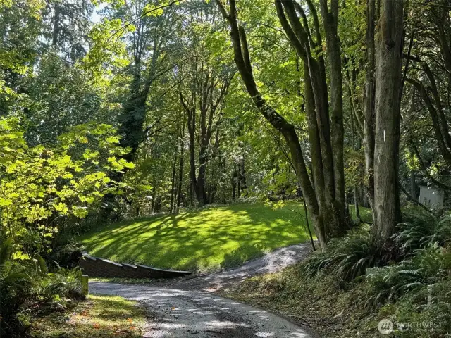 The driveway in....