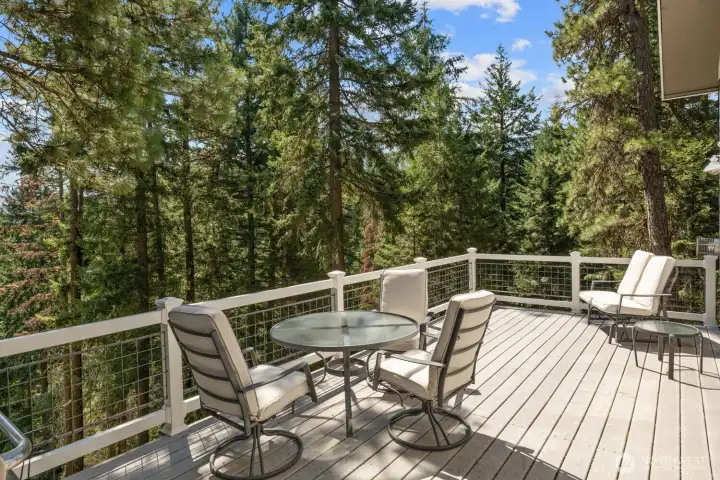 Large Upper Deck