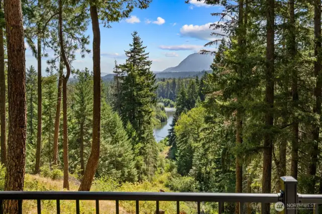 View from Daylight Basement Porch