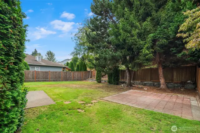 Leveled Backyard for your summer BBQ and gatherings.