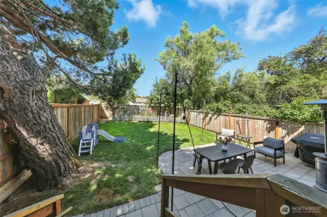 This yard is amazing! It is fully fenced, level, and features a large grass area, room for gardening plus an entertainment sized patio!