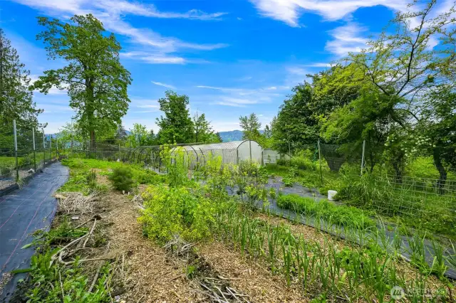 What will you grow in your garden next year?