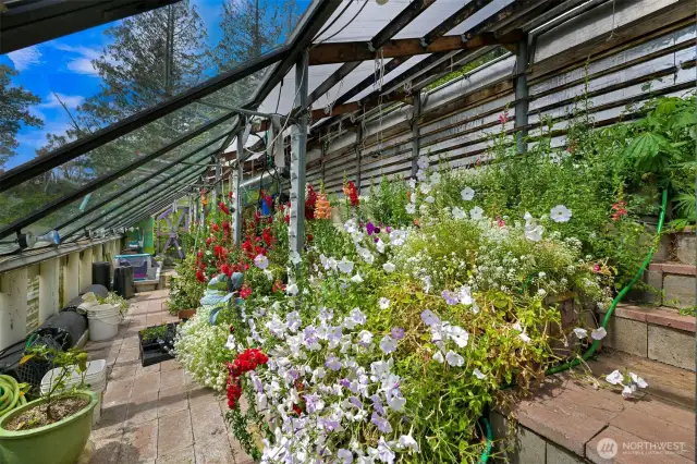 This greenhouse is a dream!