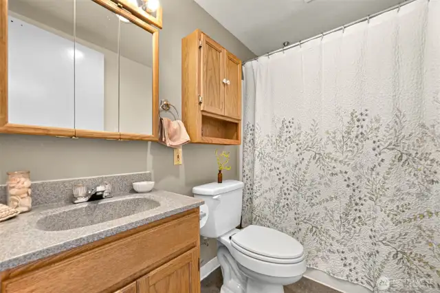 Downstairs full bath