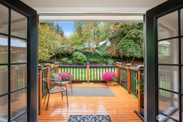 Deck with 2 access gates