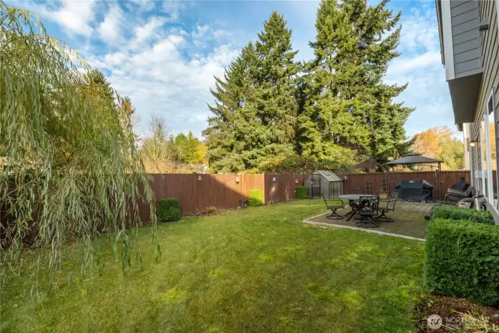 A peaceful, fully fenced backyard bordered by evergreens and fall color. There’s plenty of lawn space, a patio for outdoor dining, and room to relax with nothing but nature behind you.