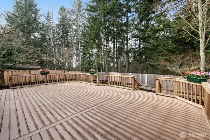 One of the largest backyards in the neighborhood