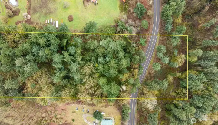 Approximate Lot Lines/Buyer to verify