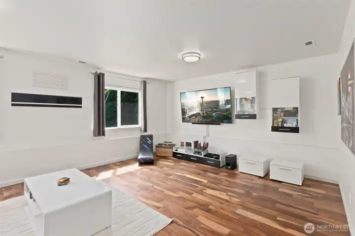 Lower level family room with windows out to back yard.