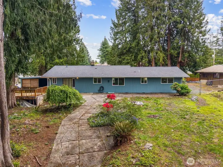From the back yard, looking back at the house. This is just part of the yard, it extends much further back from here with some amazing mature trees.