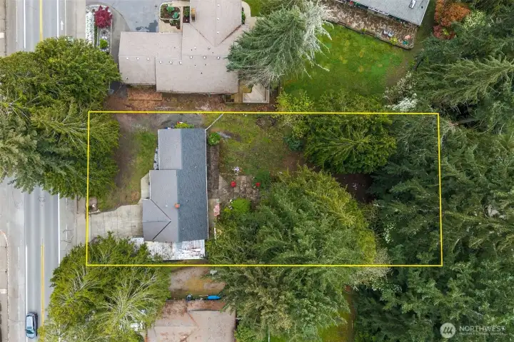 Looking straight down. Gorgeous trees, and so much space.