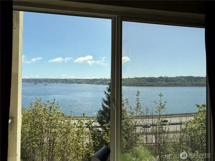 View from living room window.