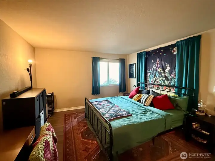 Large primary bedroom is big enough for king-sized bed!