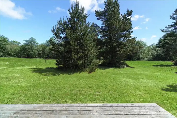 View to the back acreage from the back deck. View to the back acreage from the back deck.
