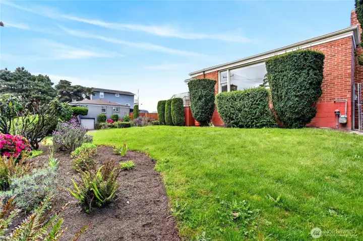 Front yard