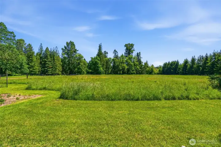 Flat Pasture Area Partially Fenced (117 River Ln) Flat Pasture Area Partially Fenced (117 River Ln)