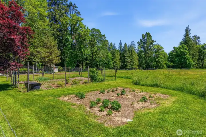 Fenced Garden Area (117 River Ln) Fenced Garden Area (117 River Ln)