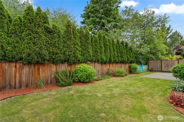 Private, fully fenced backyard offering a peaceful outdoor retreat with mature border trees that stay green year-round for permanent privacy, plus plenty of space for summer BBQs, gardening, or play Private, fully fenced backyard offering a peaceful outdoor retreat with mature border trees that stay green year-round for permanent privacy, plus plenty of space for summer BBQs, gardening, or play