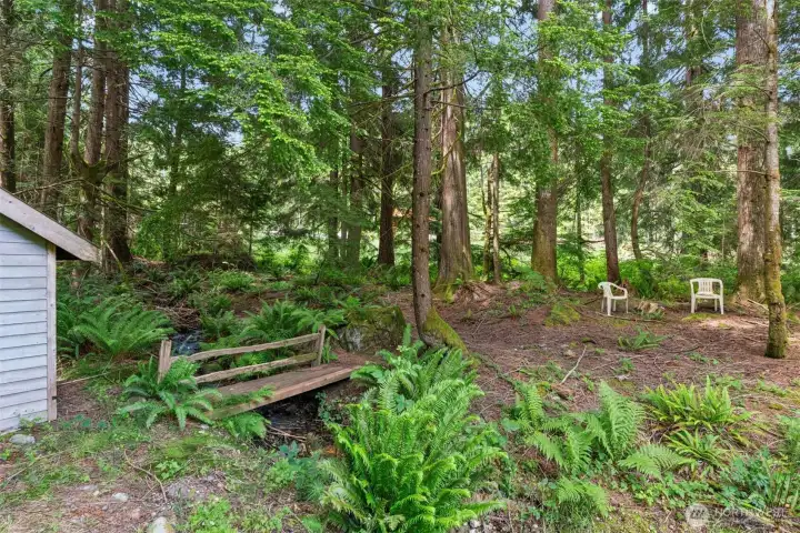 Extensive forested areas
