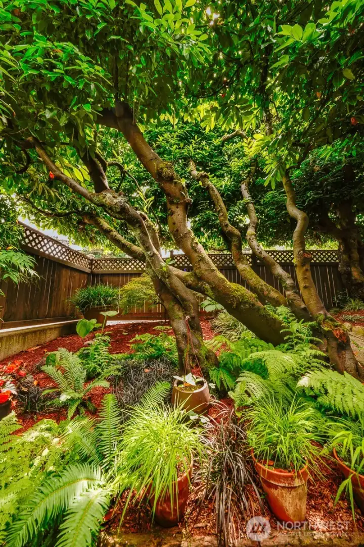 The finishing touches of this special home are its perimeter of lovingly curated, mature landscaping. Enhanced by custom landscape lighting, the property remains just as beautiful at night.