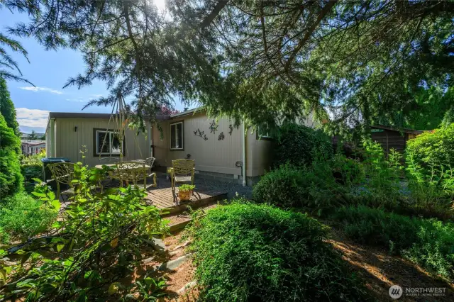 Back yard