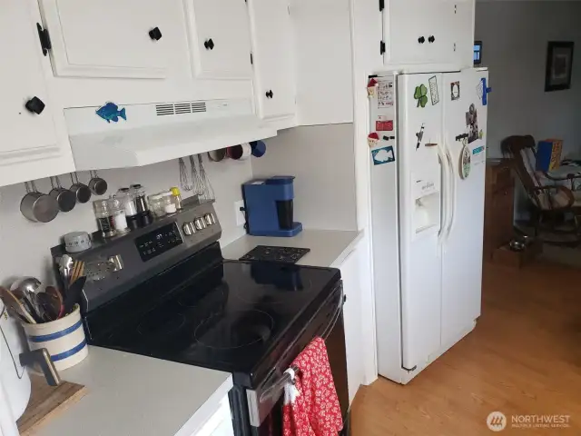 Plenty of cabinet space in this kitchen