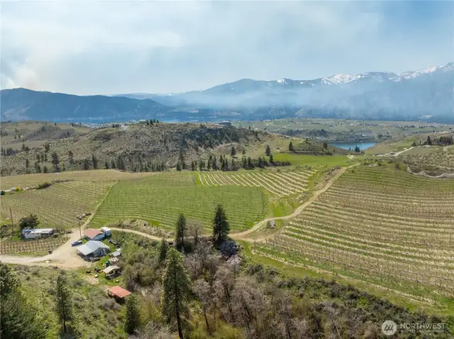 Included among the apples is worker housing: a duplex and single wide. There is a shop for equipment, workshop and product storage; several outbuildings. Equipment negotiable.
