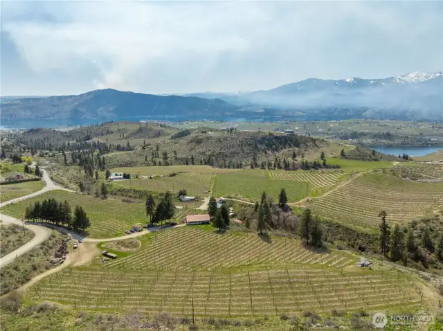 Taking it all in may require more than one little drone!