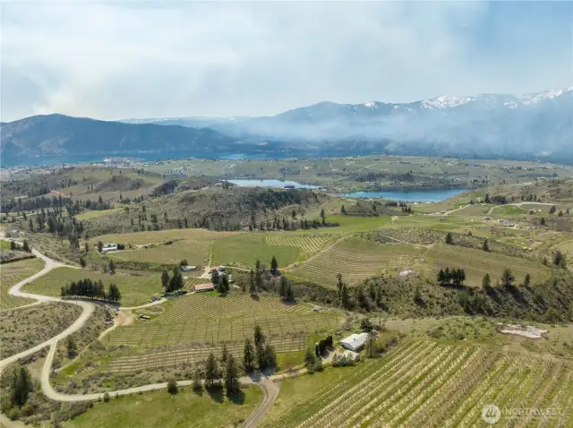 What a beautiful day for an outing through the Manzana Orchard!