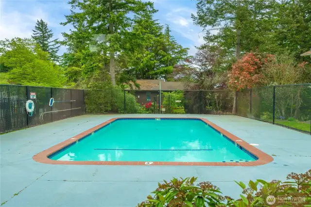 Outdoor pool.