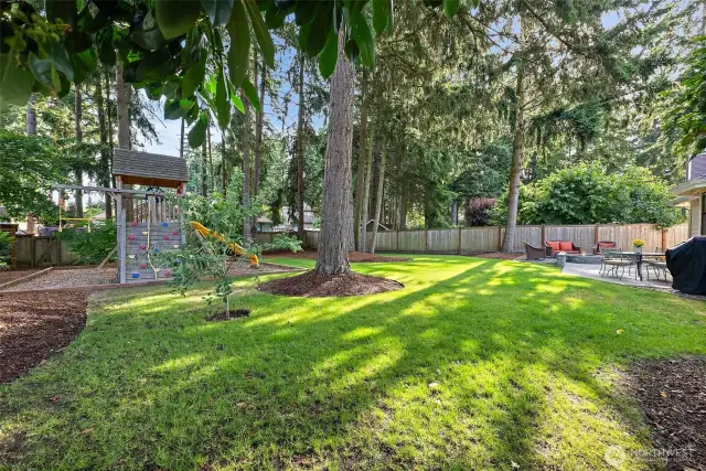 Enjoy the PNW Sun & Shade of the Mature Trees!