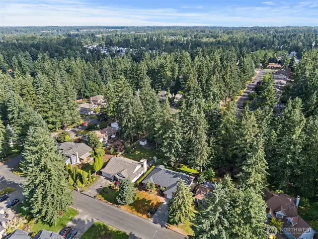 Puyallup's Renowned Gem Height's Community Captures the Highlights the Best of the PNW! Large Treed Lots, Quality Builds, Walk Right to the Exclusive Gem Club!