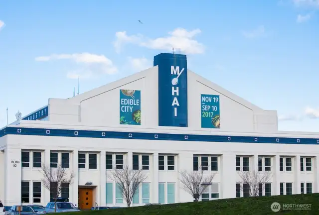 The Museum of History & Industry (MOHAI) is just minutes away, offering interactive exhibits and panoramic views that connect Seattle’s past to its vibrant present.