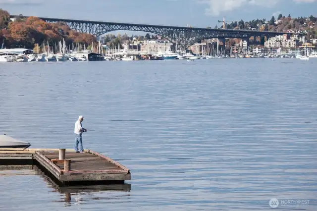 Public docks on Lake Union offer a front-row seat to the water for fishing, relaxing, or simply watching boats and wildlife drift by — all moments from the S.S. Guppy.