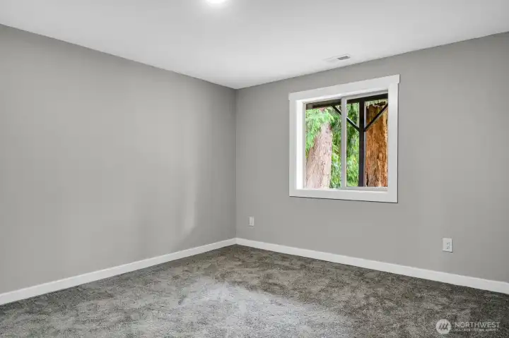 Daylight Basement Finished Rm #1