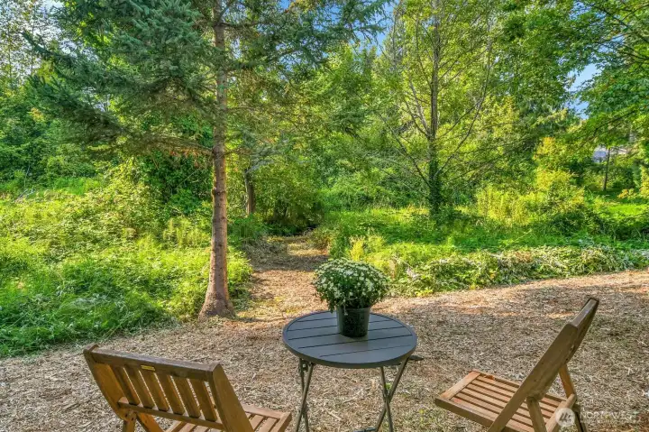 View from Lower Area to the Path and Creek