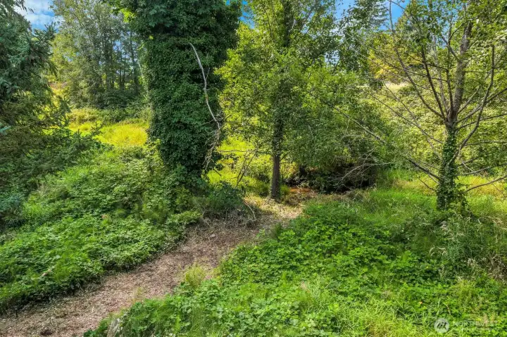 Path to the Creek