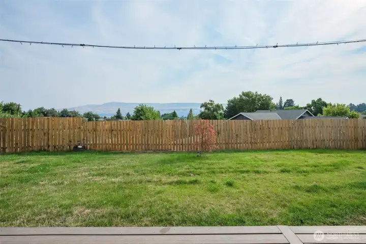 Nice yard to play in