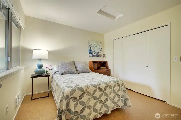 Third bedroom on lower level with spacious closet.