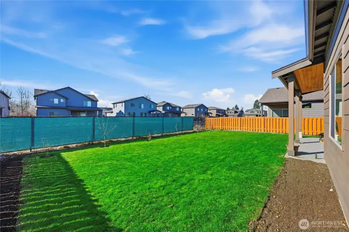 Fully fenced backyard offering privacy and security.