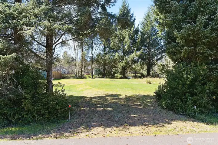 View From the Street