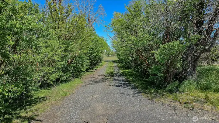Private driveway leading to secluded property. Enjoy peaceful country living surrounded by lush, mature trees and natural landscaping. A rare opportunity for private land ownership just minutes from town.
