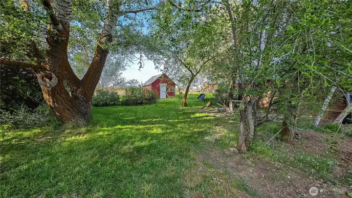 Sprawling, usable lot with lush landscaping and versatile outbuildings for your homestead or garden oasis. The tranquil setting captures the best of North Central Washington real estate—wide-open spaces in Waterville, perfectly positioned between Wenatchee's conveniences and Chelan's summer fun. Looking North from the North side of the house.