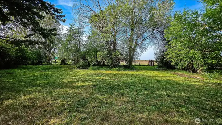 Spacious and private backyard featuring a large green lawn, mature shade trees, and a fenced yard. Looking North from the north side of the home.